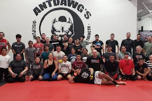 Antdawgs MMA Training Center image