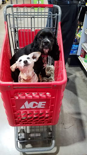 Hardware Store «Gold Country Ace Hardware», reviews and photos, 4121 Cameron Park Dr, Cameron Park, CA 95682, USA