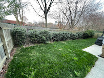 Bluegrass Lawn Care - Photo 3 - Car repair in , Virginia Beach