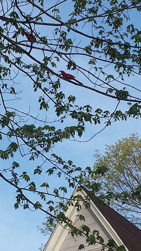 Japanese Grocery Store «Nijiya Market», reviews and photos, 18 N Central Ave, Hartsdale, NY 10530, USA