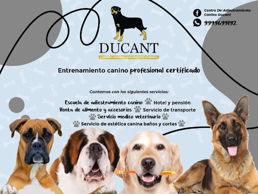 Centro de Adiestramiento Canino Duarte