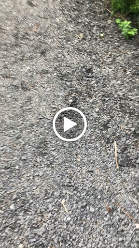 Winery «Bashakill Vineyards», reviews and photos, 1131 S Rd, Wurtsboro, NY 12790, USA