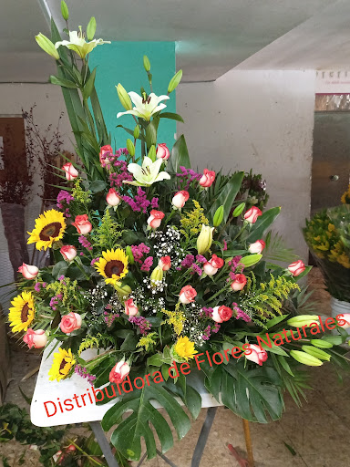 Distribuidora de Flores Naturales de la Laguna florería en  en la zona Primero de Cobián Centro