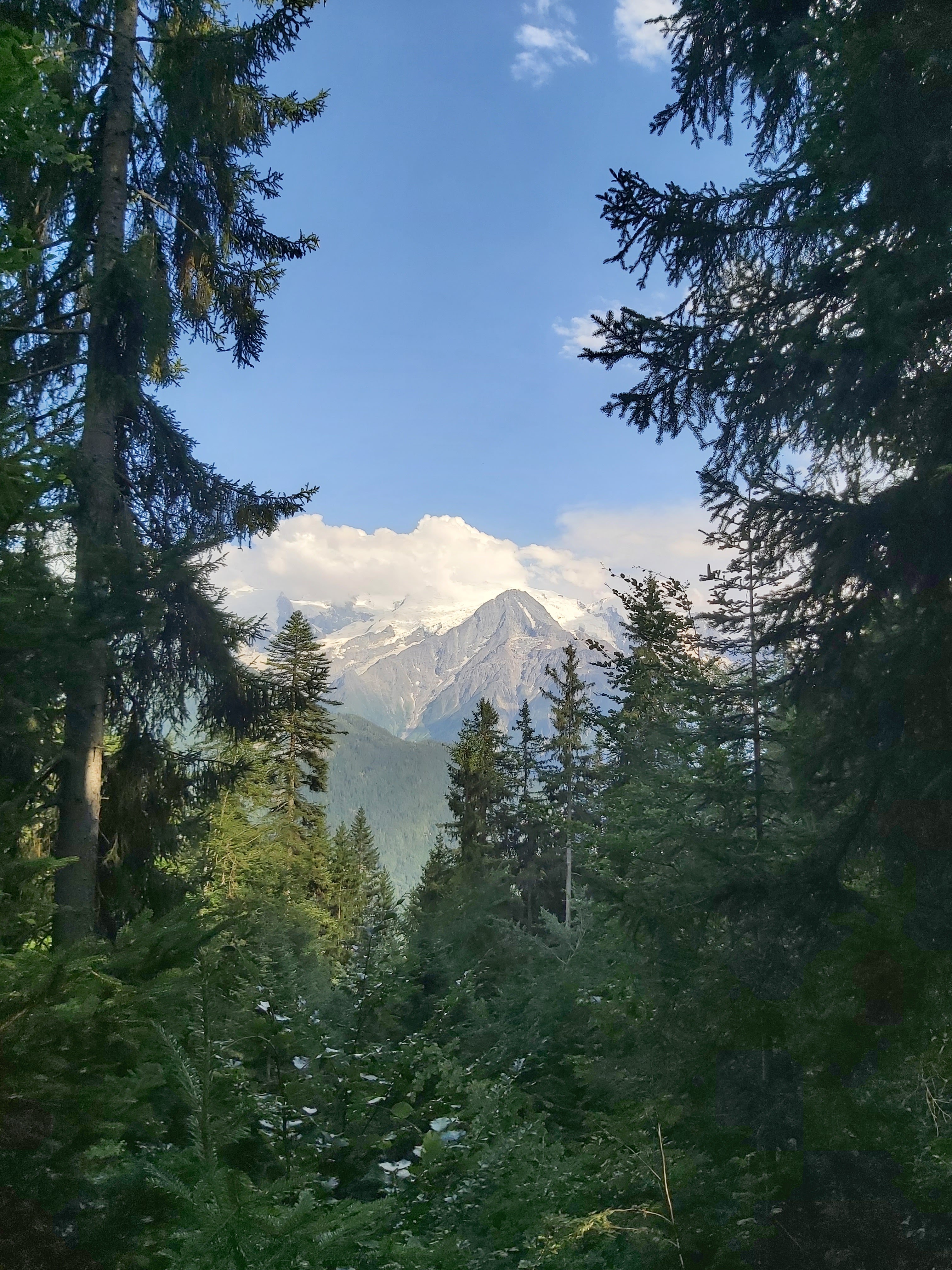 Photo n° 4 de l'avis de Laurent.a fait le 03/07/2022 à 17:45
