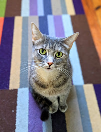 Rebel Raw - Photo 8 - Car repair in Atlanta, GA, Atlanta