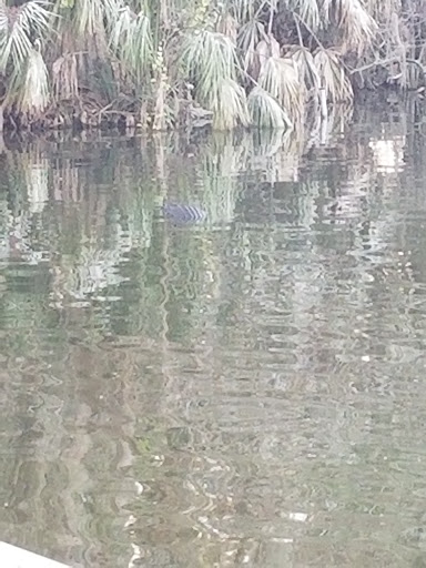 Park «Gilbert Park», reviews and photos, 310 S Tremain St, Mt Dora, FL 32757, USA