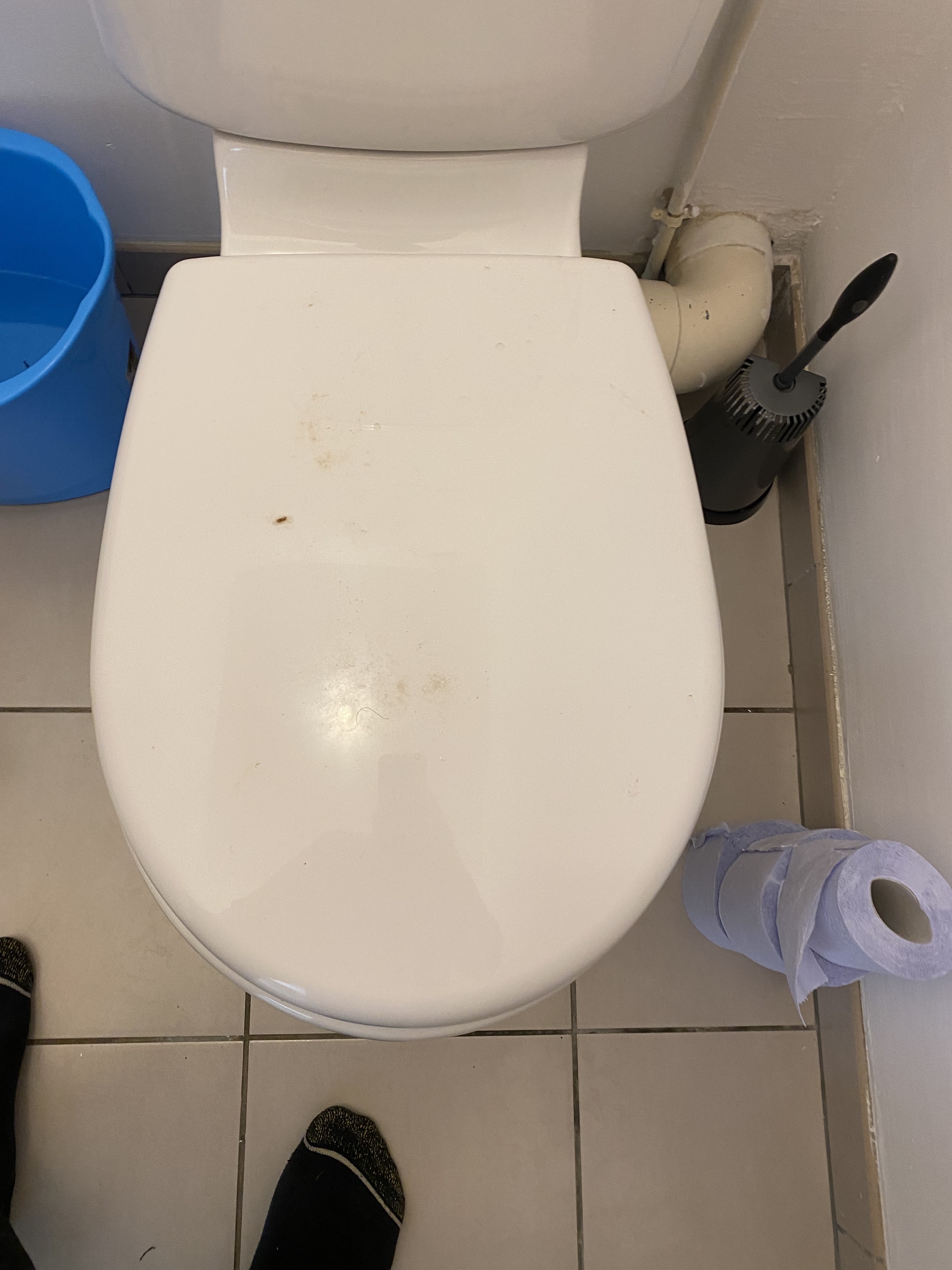 Photo n° 11 de l'avis de Arsenio.e fait le 23/09/2021 à 15:30