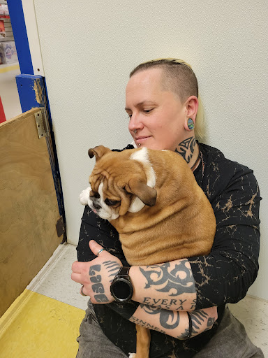 Pet Store «Yuppy Puppy Pet Shop», reviews and photos, 292 Frantz Rd, Stroudsburg, PA 18360, USA