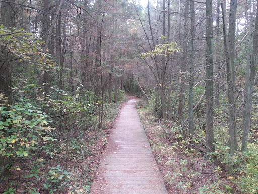 Community Park «Wells Mills County Park», reviews and photos, 905 Wells Mills Rd, Waretown, NJ 08758, USA