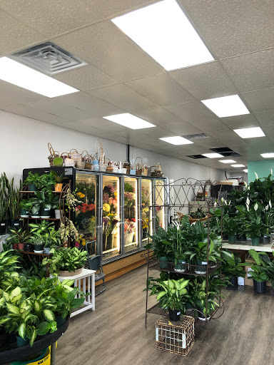 Florist «Kinsch Village Florist & Garden Center», reviews and photos, 301 Johnson St, Palatine, IL 60067, USA