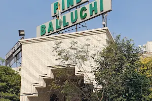 Pind Balluchi Vatika Sector 29 image