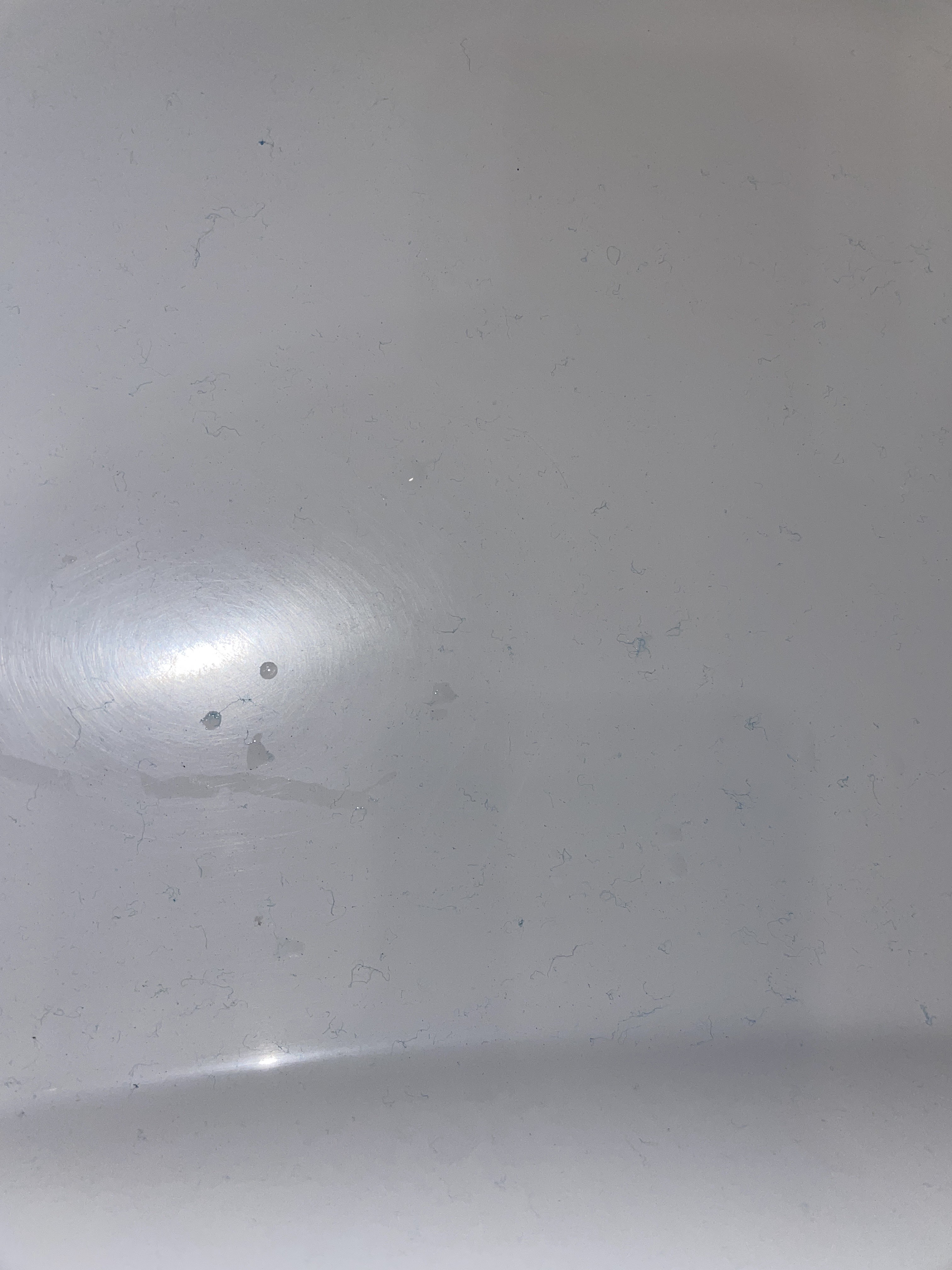 Photo n° 2 de l'avis de Tom. fait le 21/11/2022 à 21:04
