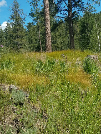 Hotel «Best Western Golden Spike Inn & Suites», reviews and photos