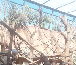 Aquarium, Zoo Hellabrunn photo