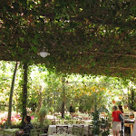 Photo n°2 de l'avis de sabine. fait le 16/04/2024 à 14:36 sur le  O'Parrucchiano La Favorita à Sorrento