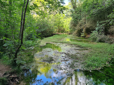 Le Durzon à Nant