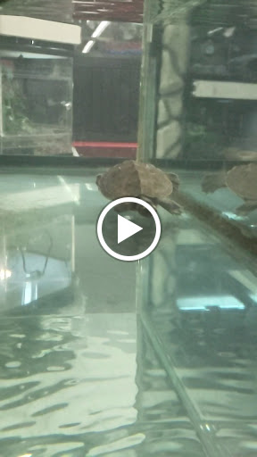 Pet Supply Store «Petco Animal Supplies», reviews and photos, 1694 Boston Rd, Springfield, MA 01129, USA