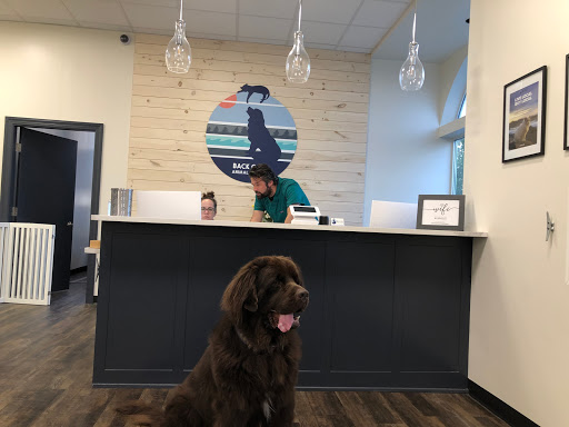 Back Cove Animal Hospital image