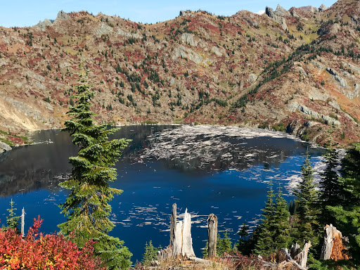 National Reserve «Mount St. Helens National Volcanic Monument», reviews and photos, 3029 Spirit Lake Hwy, Castle Rock, WA 98611, USA