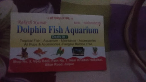 Dolphin Fish Aquarium