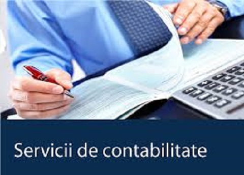 servicii contabilitate - Standard Accounting