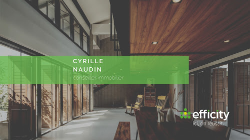 Cyrille Naudin conseiller immobilier efficity à Saint-André-de-Sangonis