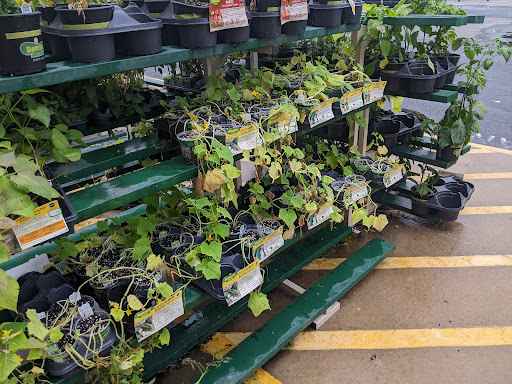 Home Improvement Store «The Home Depot», reviews and photos, 2635 Peachtree Pkwy, Suwanee, GA 30024, USA