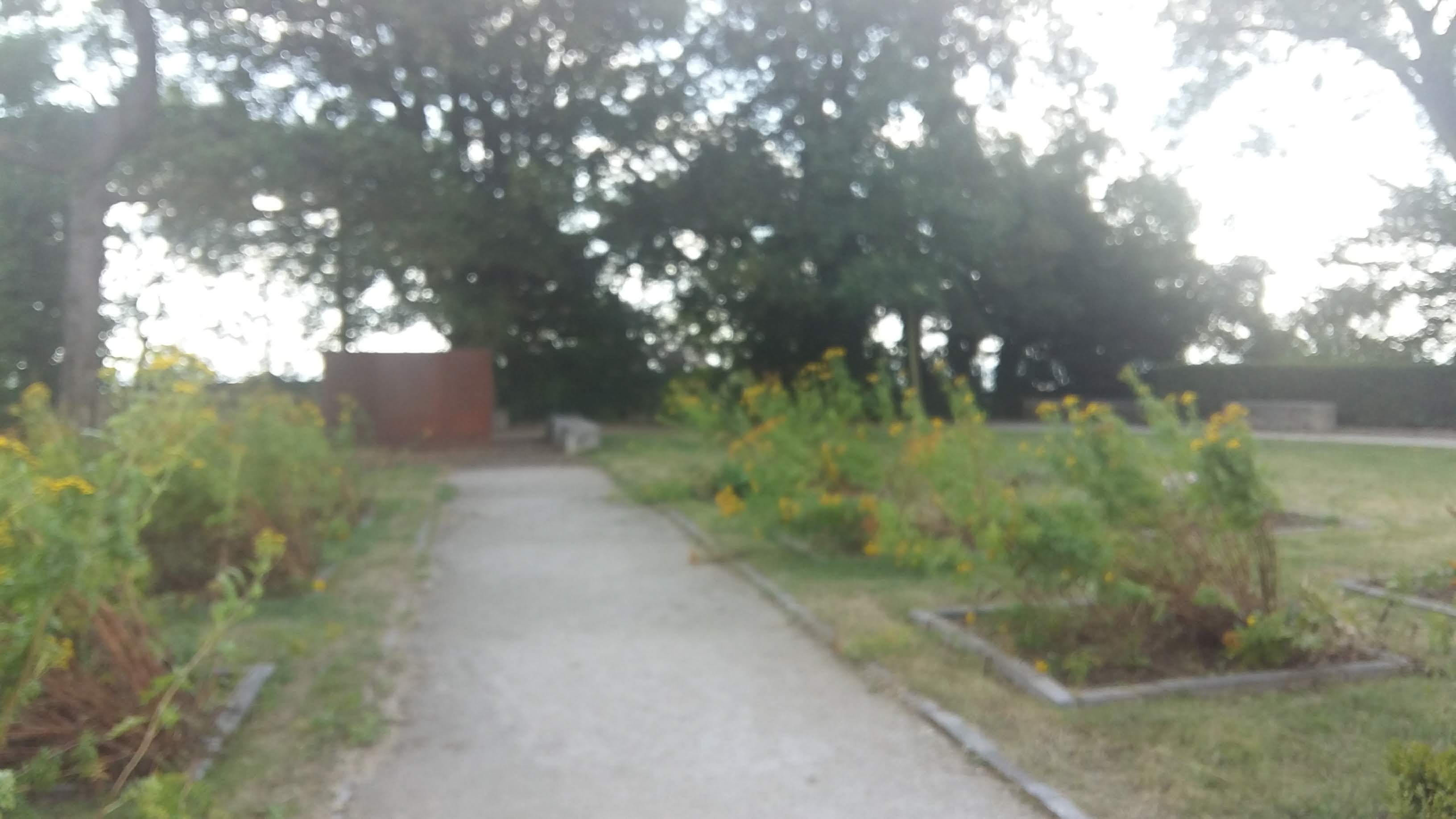 Photo n° 9 de l'avis de Bal.n fait le 01/08/2018 à 08:19
