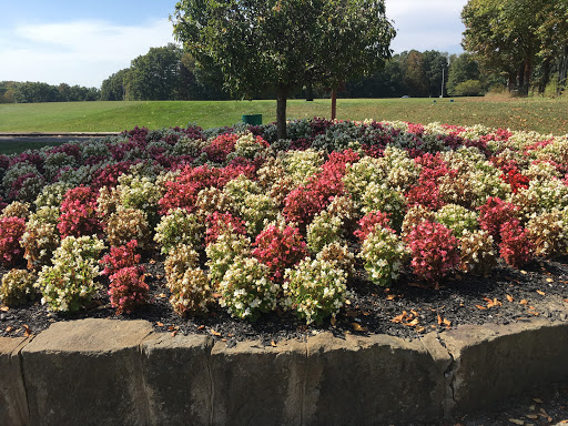 Golf Course «Beaver Creek Meadows Golf Course», reviews and photos, 12774 Ohio 7, Lisbon, OH 44432, USA