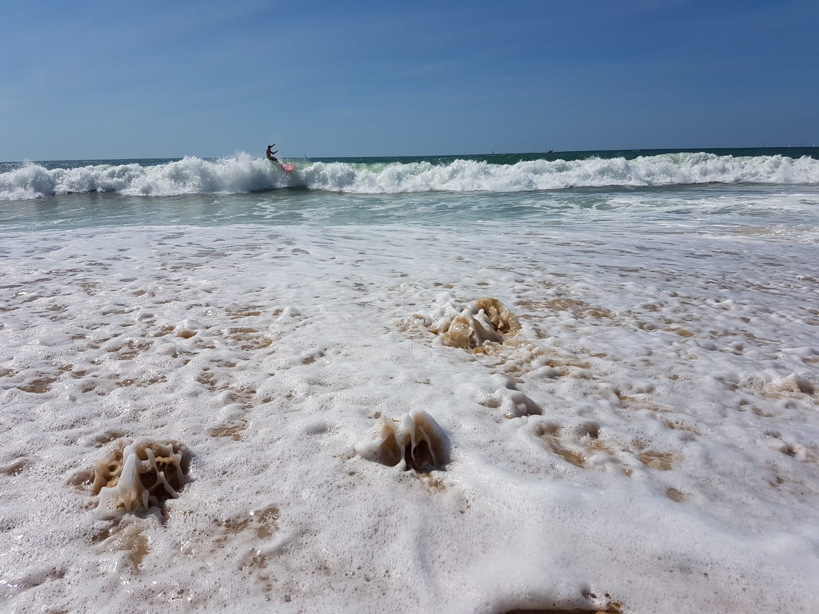 Photo n° 1 de l'avis de Tobi.e fait le 23/08/2018 à 15:11