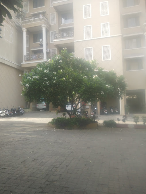 Google Maps image 13