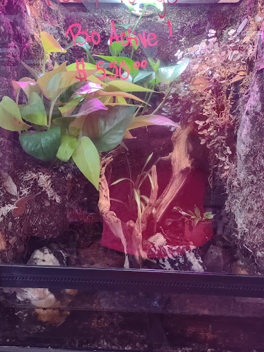 Pet Supply Store «House of Pets Inc», reviews and photos, 29500 Ford Rd, Garden City, MI 48135, USA