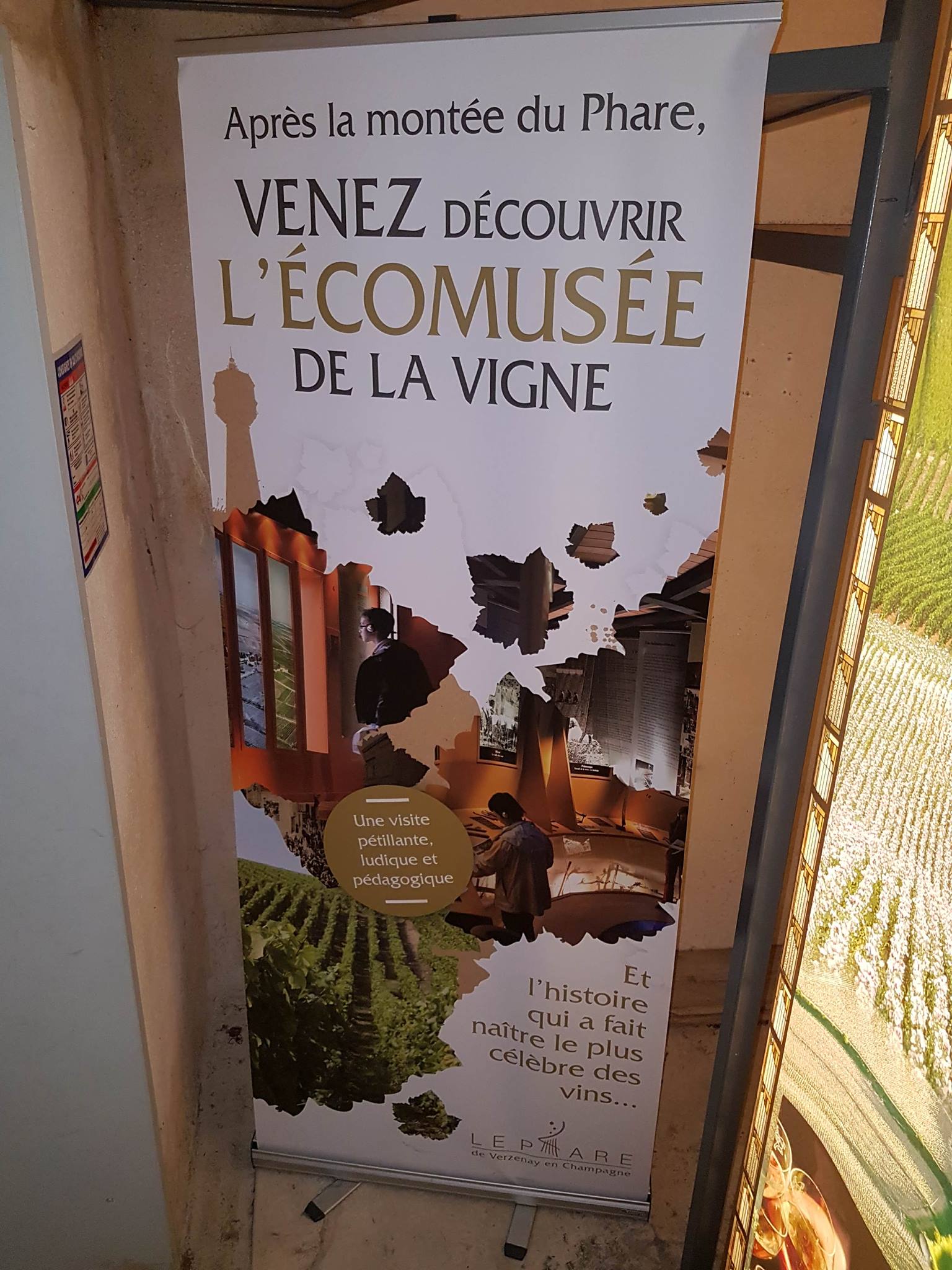 Photo n° 7 de l'avis de Athéna.e fait le 15/08/2017 à 06:29