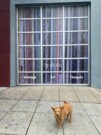 Boutique «Stroll», reviews and photos, 2360 India St, San Diego, CA 92101, USA