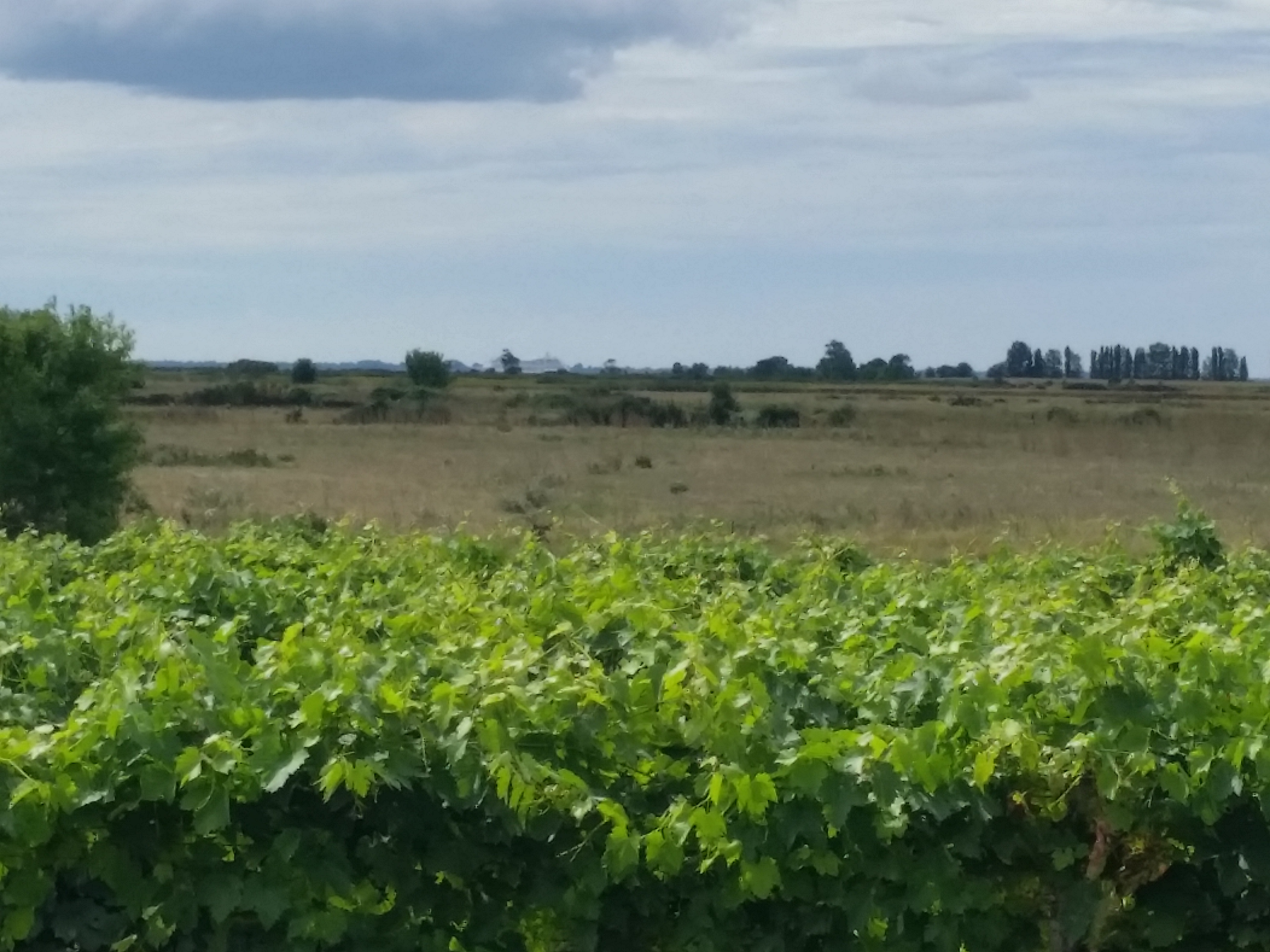 Photo n° 3 de l'avis de Roelie.o fait le 05/08/2017 à 21:55
