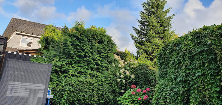 Photos des visiteurs Ferienwohnung Moll's Huus 26524 Hage