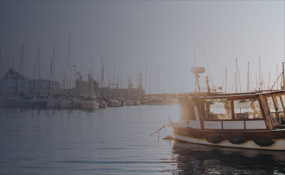 Agence Immobilière Toulon | Agent PACA IMMOBILIER à Toulon