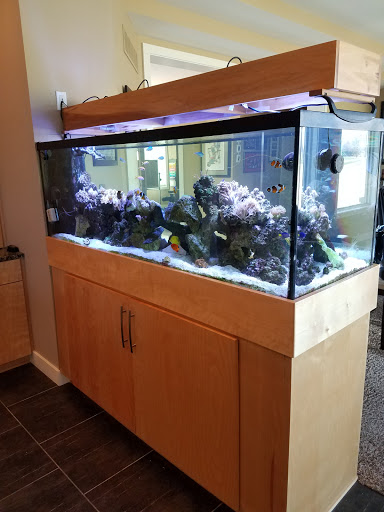 Pet Store «Sailfin Pet Shop», reviews and photos, 720 S Neil St # 2, Champaign, IL 61820, USA