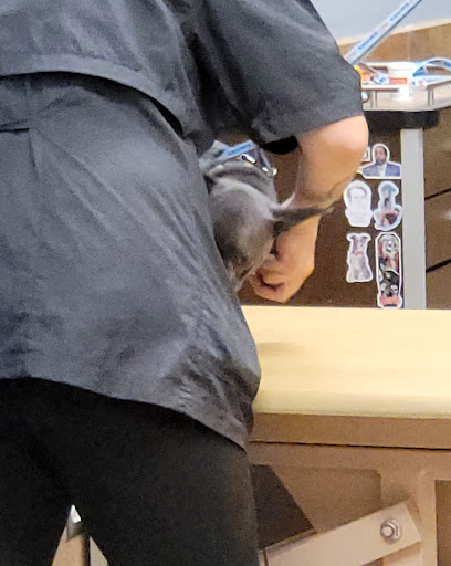 Pet Supply Store «PetSmart», reviews and photos, 3210 E Lynn Blvd, Sterling, IL 61081, USA