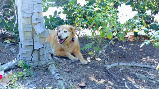 Park «Bridgeport Park», reviews and photos, 23520 Bridgeport Ln, Santa Clarita, CA 91355, USA