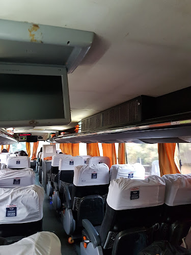 Opiniones de Buses Liquiñe en Panguipulli - Agencia de viajes