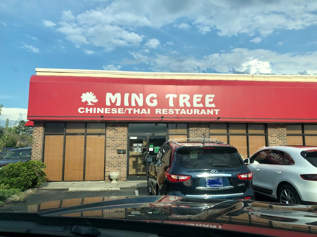 Ming Tree 37701