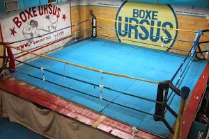 Boxe Ursus image