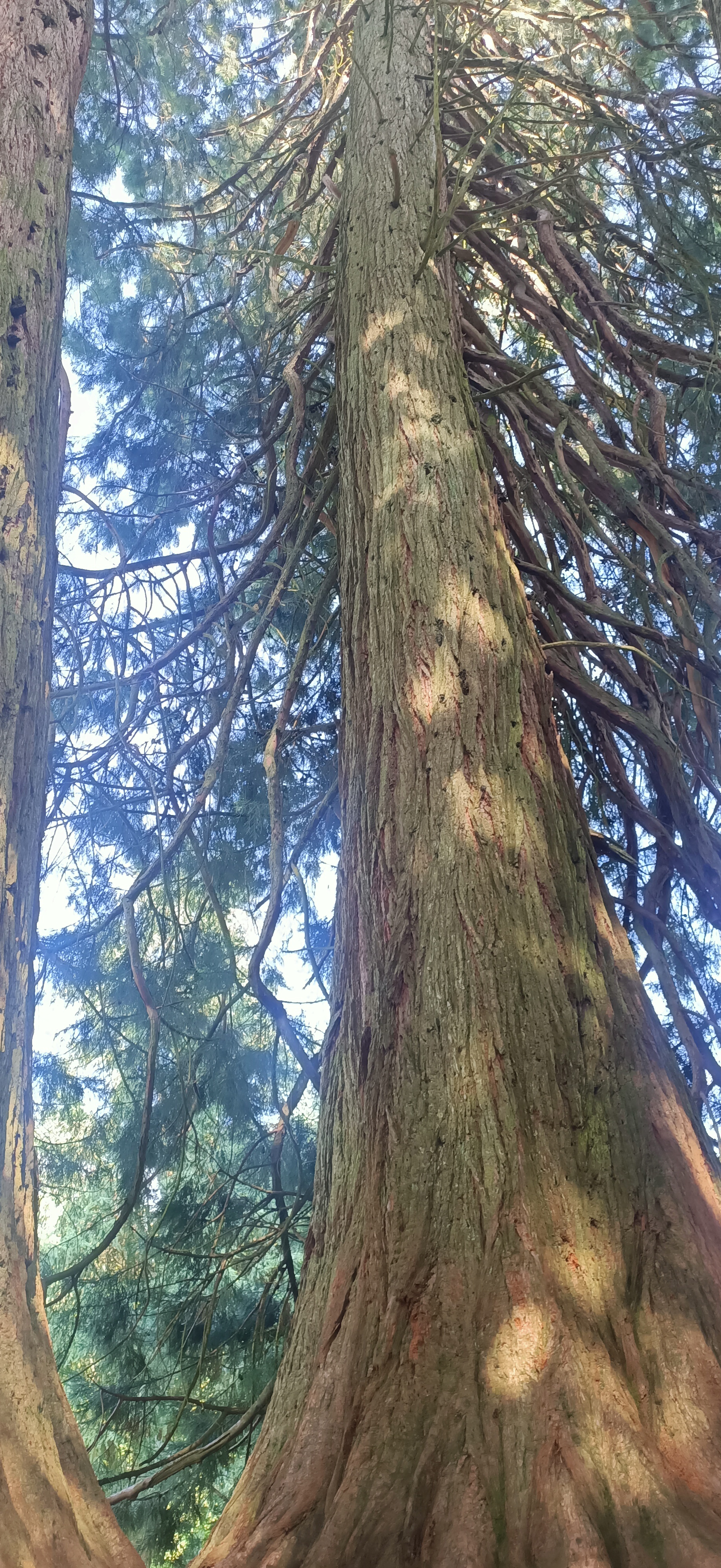 Photo n° 14 de l'avis de Yan.E fait le 06/07/2023 à 13:13