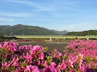 松岡河川公園