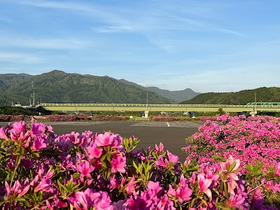 松岡河川公園