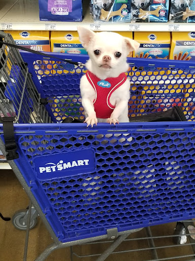 Pet Supply Store «PetSmart», reviews and photos, 830 Pelham Pkwy, Pelham, NY 10803, USA