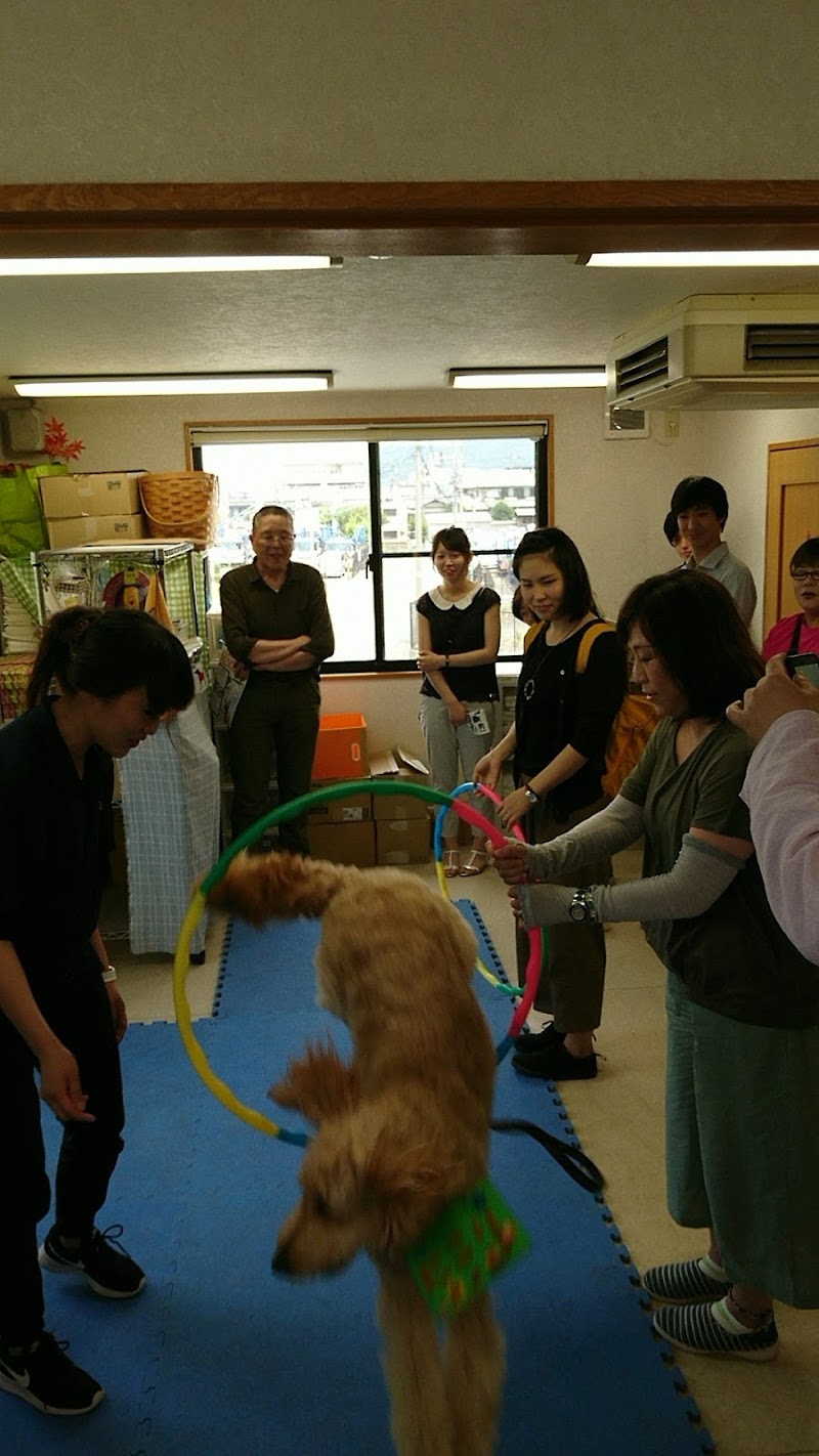 特定非営利活動法人 日本レスキュー協会