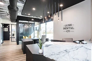 Lush Dental Co. image