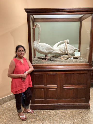 Beauty Salon «Aabh Beauty Salon», reviews and photos, 3201 NJ-27, Franklin Park, NJ 08823, USA